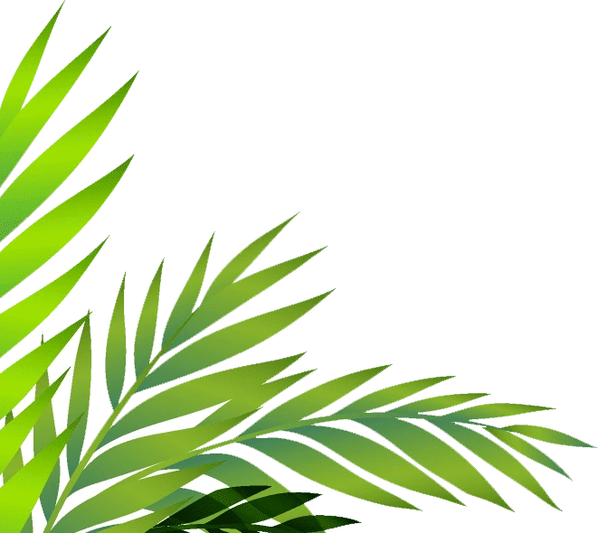 New Zealand 1 Awesome Image