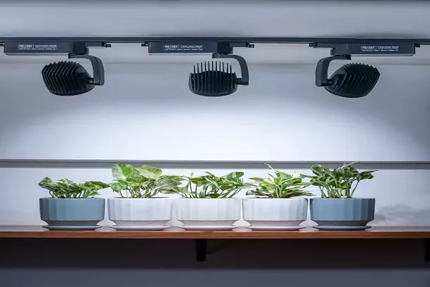 Green Wall Lighting Solution 3