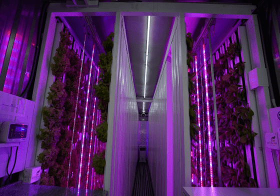 horticulture projects 2