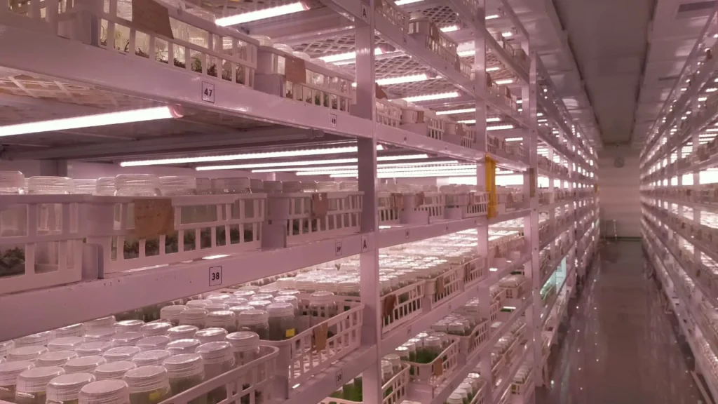 Advent Plantech LLP.