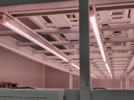 horticulture projects 11