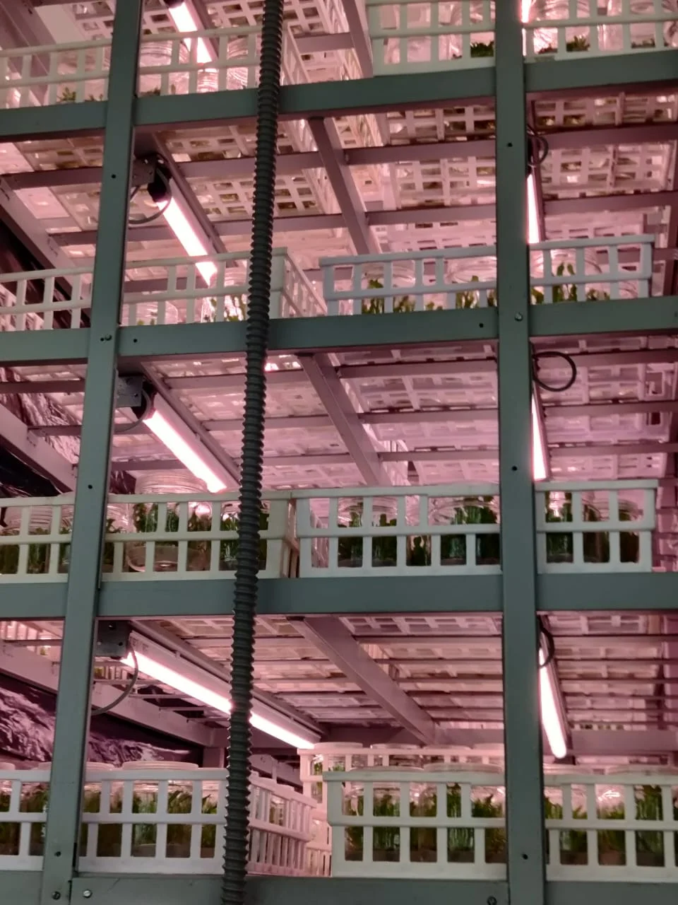 K F Biotech Pvt. Ltd.