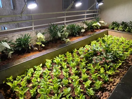 horticulture projects 17