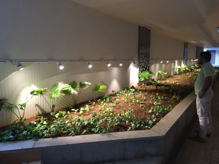 horticulture projects 20