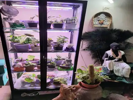 horticulture projects 22