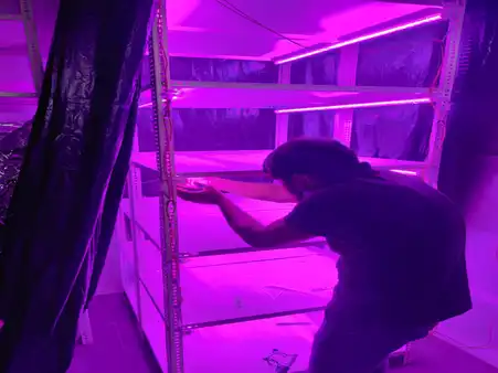 horticulture projects 23