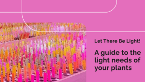 Horticultural Science 34 How much light my plants need?