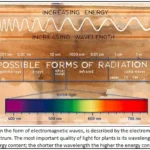 SUSTAINABLE GROW LIGHT SOLUTION
