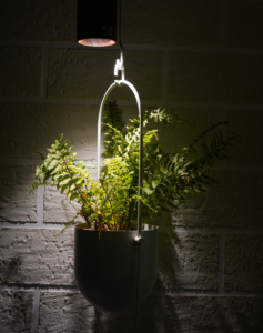 Horticultural Science 80 blog img