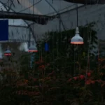 Understanding-Photoperiodic-Lighting