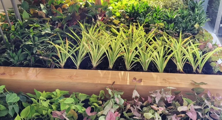 f739980f-5d4a-42a9-8eb0-01664a394257-scaled