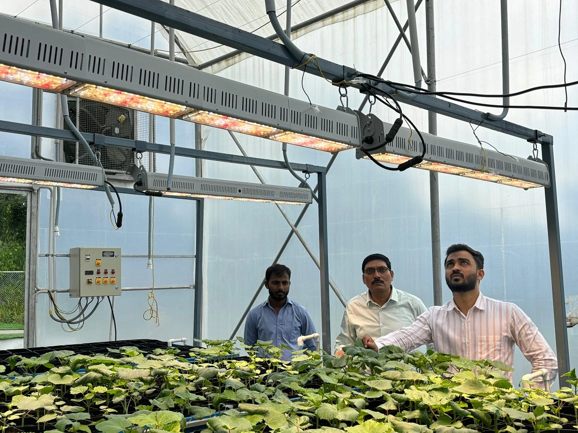 Speed Breeding Acceleration