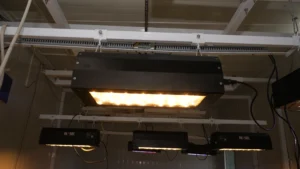 Horticultural Science 95 img