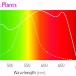 Plant Lighting vs. People Lighting: What's the Difference?