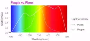Horticultural Science 94 Plant Lighting vs. People Lighting: What's the Difference?