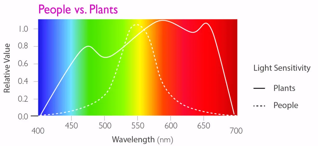 Plant Lighting vs. People Lighting: What's the Difference?