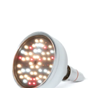 26 watt non dimmable