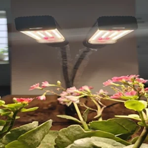 5 watt ,table top plant light