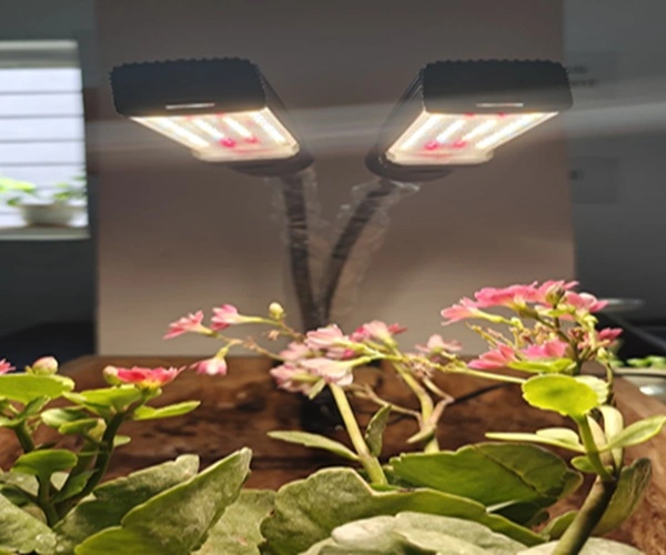 5 watt ,table top plant light