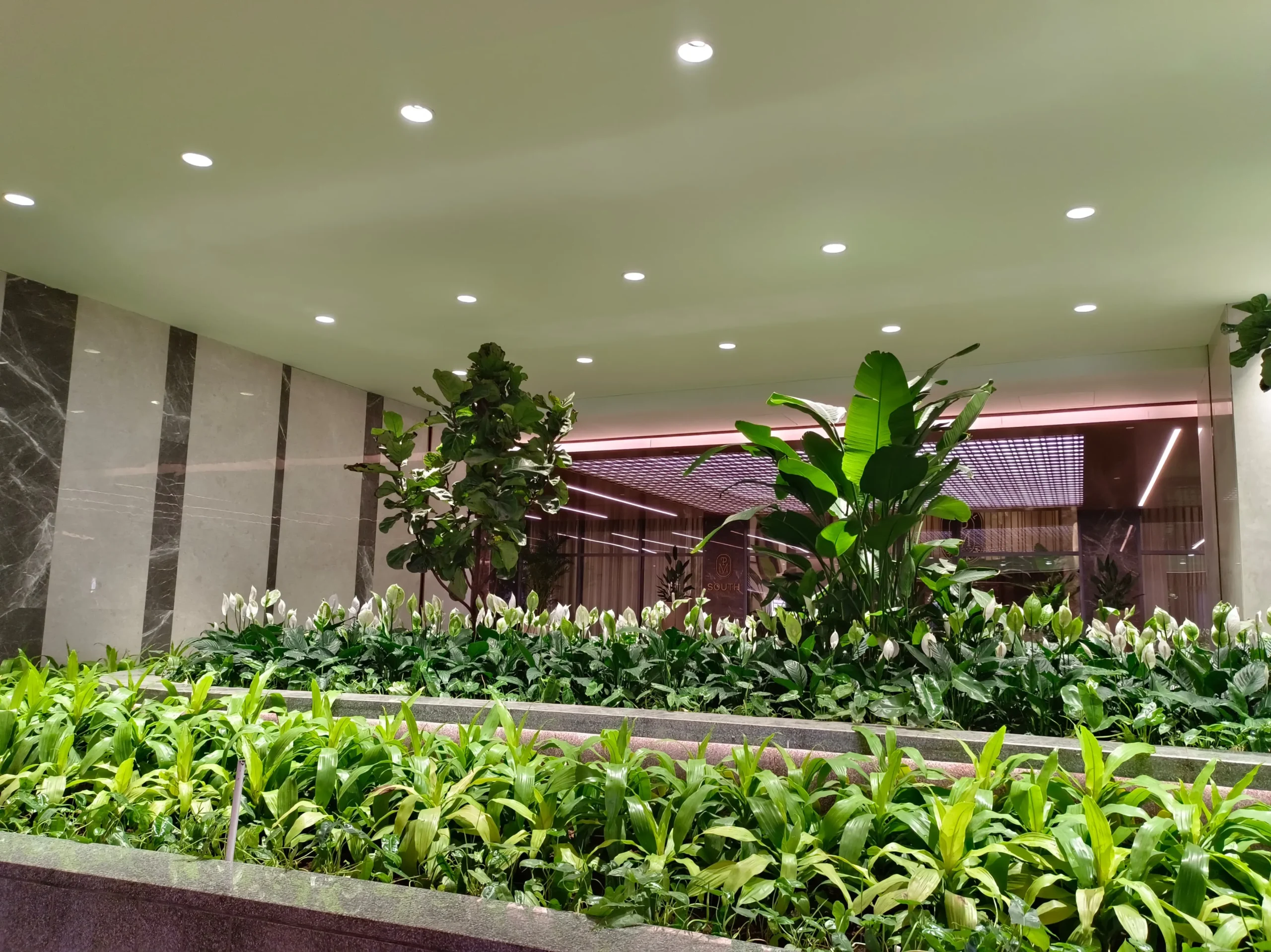 indoor-gardening (1)