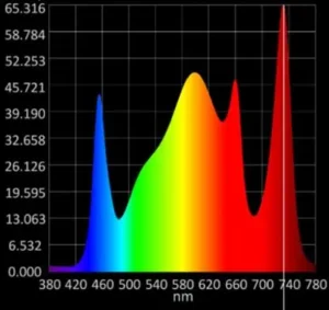 Plant Grow Lights for Table Top Plants