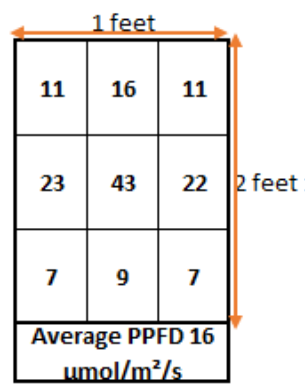 Plant Grow Lights for Table Top Plants