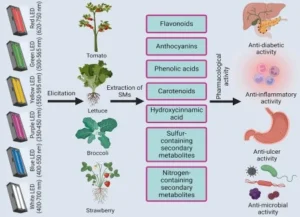 Horticultural Science 91 Blog img