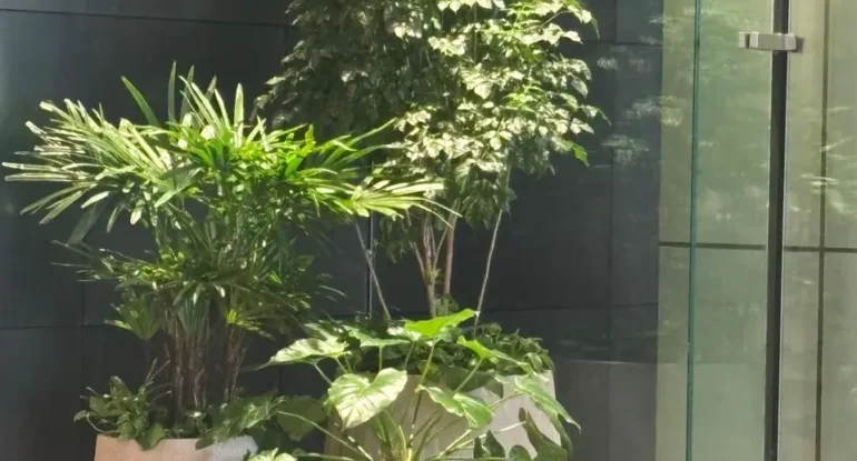 Artificial Light for Interior Plantscapes: A Complete Guide