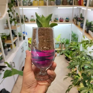 Horticultural Science 88 Nursery Grow Lights for Stock Plants