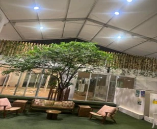 Sapota And Star Fruit