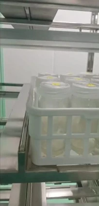 Potato Tissue Culture