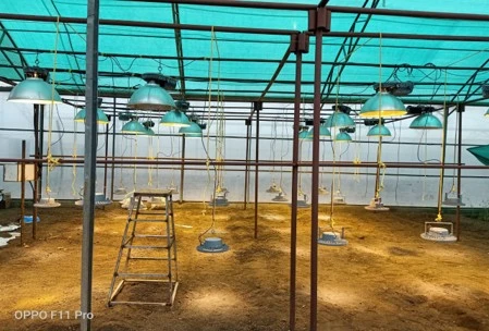 Wheat Speed Breeding​