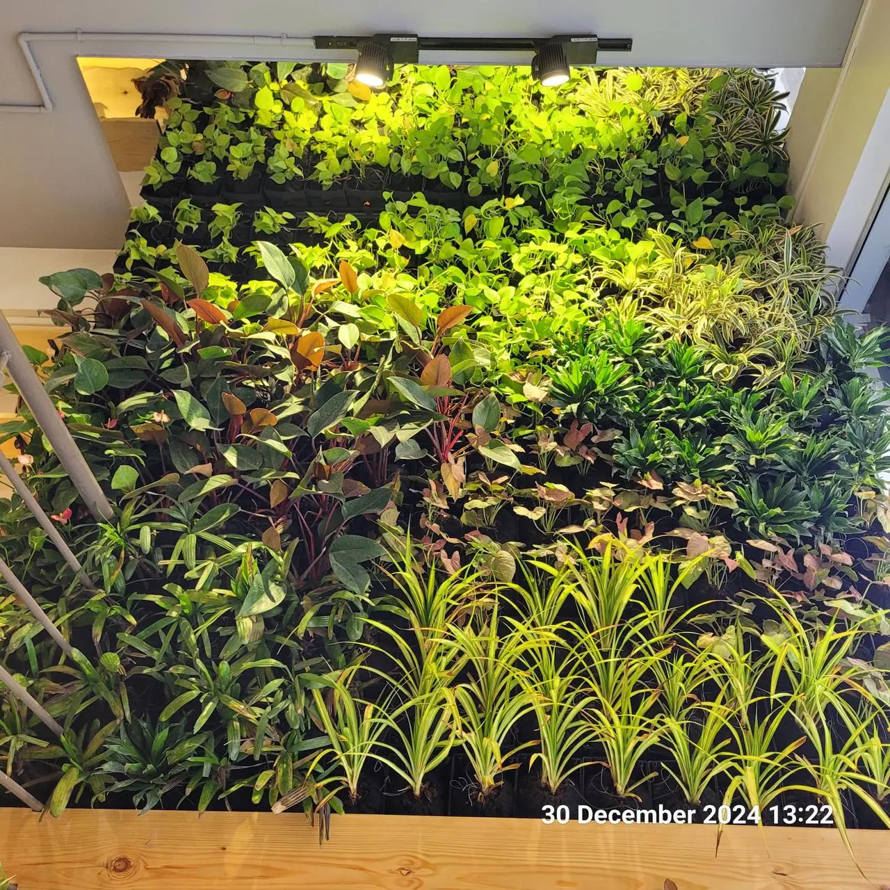 Grow Lights for Interior Landscape Design