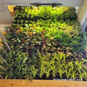 Horticultural Science 85 Grow-Lights-for-Interior-Landscape-Design